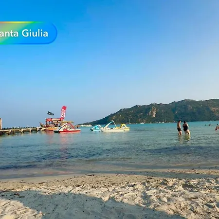 Vue Sur Les Clementiniers Санта-Люсьа-ди-Морьяни