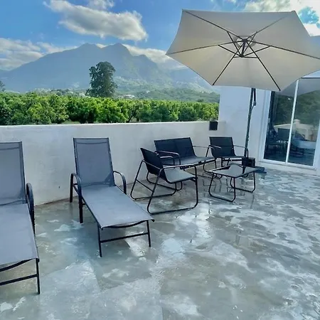 Vue Sur Les Clementiniers