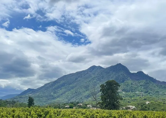 Vue Sur Les Clementiniers Apartman