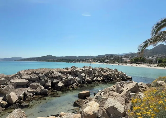 דירה Vue Sur Les Clementiniers *