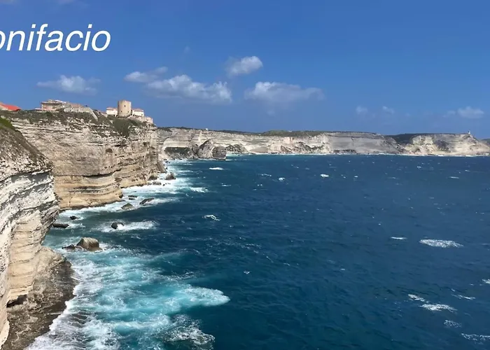 Vue Sur Les Clementiniers דירה סנטה-לוסיה-די-מוריאני