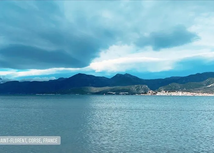 Vue Sur Les Clementiniers * סנטה-לוסיה-די-מוריאני