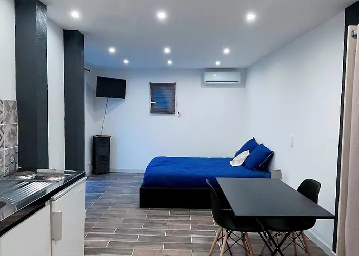 Vue Sur Les Clementiniers *