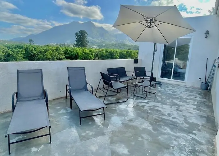 Vue Sur Les Clementiniers